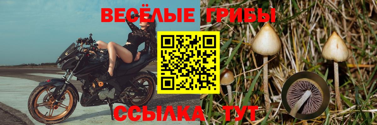 Галлюциногенные грибы Magic Shrooms Ликино-Дулёво